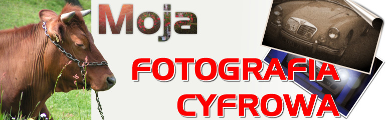 FOTOGRAFIA CYFROWA